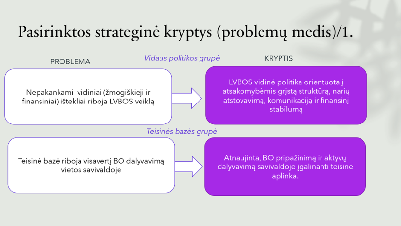 Read more about the article LVBOS kuriama stratetgija